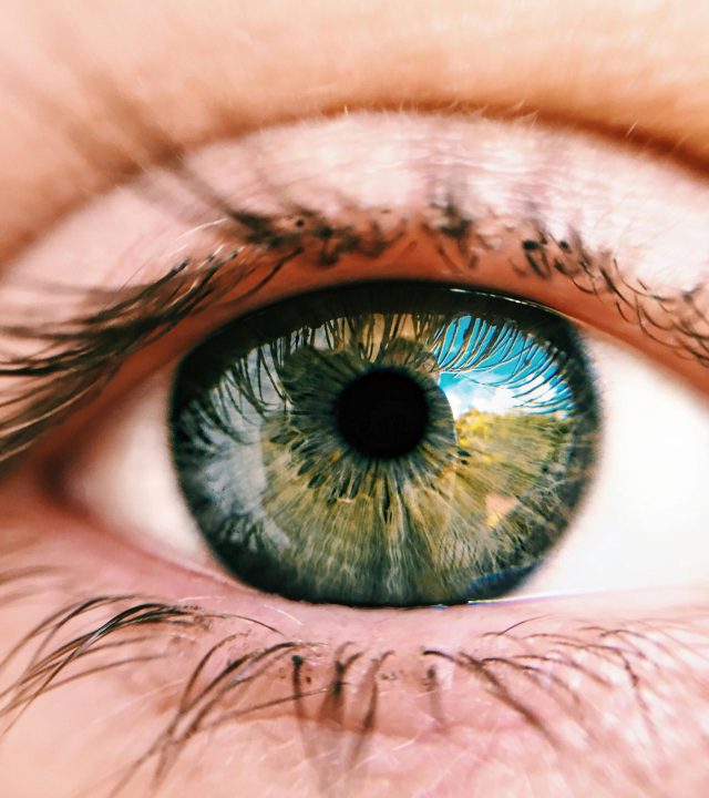OJO TERAPIA EMDR
